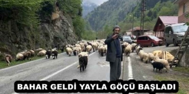 bahar_geldi_yayla_gocu_basladi_h52736_20862