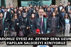 baromuz_uyesi_av_zeynep_sena_uzuna_yapilan_saldiriyi_kiniyoruz_h58291_bce0a