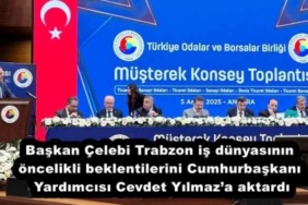 baskan_celebi_trabzon_is_dunyasinin_oncelikli_beklentilerini_cumhurbaskani_yardimcisi_cevdet_yilmaza_aktardi_h55741_91612