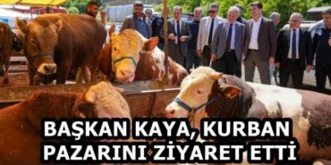 baskan_kaya_kurban_pazarini_ziyaret_etti_h58562_bfecb
