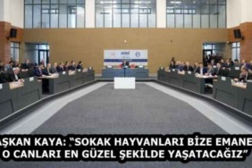 baskan_kaya_sokak_hayvanlari_bize_emanet_o_canlari_en_guzel_sekilde_yasatacagiz_h58382_02fab