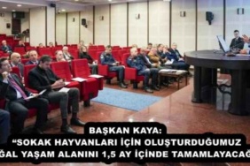 baskan_kaya_sokak_hayvanlari_icin_olusturdugumuz_dogal_yasam_alanini_15_ay_icinde_tamamlayacagiz_h57116_3f7fc