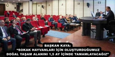 baskan_kaya_sokak_hayvanlari_icin_olusturdugumuz_dogal_yasam_alanini_15_ay_icinde_tamamlayacagiz_h57116_3f7fc