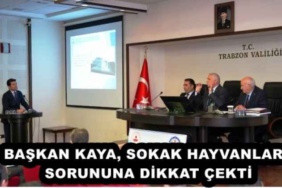 baskan_kaya_sokak_hayvanlari_sorununa_dikkat_cekti_h52660_012cc