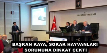 baskan_kaya_sokak_hayvanlari_sorununa_dikkat_cekti_h52660_012cc