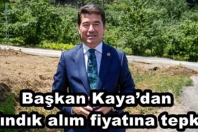 baskan_kayadan_findik_alim_fiyatina_tepki_h48467_ef968