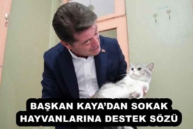 baskan_kayadan_sokak_hayvanlarina_destek_sozu_h54555_ec395