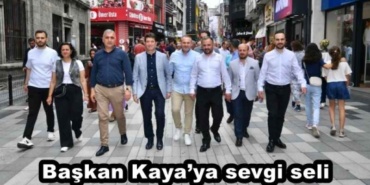 baskan_kayaya_sevgi_seli_h47926_60c83