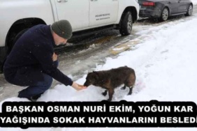baskan_osman_nuri_ekim_yogun_kar_yagisinda_sokak_hayvanlarini_besledi_h51710_0fe6d