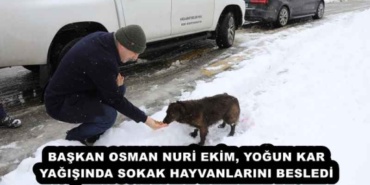 baskan_osman_nuri_ekim_yogun_kar_yagisinda_sokak_hayvanlarini_besledi_h51710_0fe6d