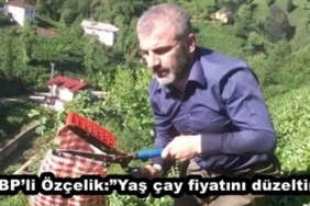 bbpli_ozcelikyas_cay_fiyatini_duzeltin_h47355_752c9