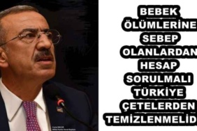 bebek_olumlerine_sebep_olanlardan_hesap_sorulmali_turkiye_cetelerden_temizlenmelidir_h49634_074c4