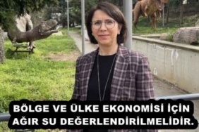 bolge_ve_ulke_ekonomisi_icin_agir_su_degerlendirilmelidir_h53149_b6f40