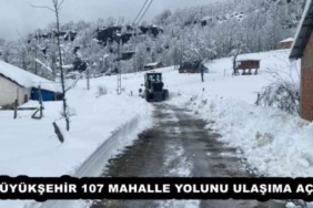 buyuksehir_107_mahalle_yolunu_ulasima_acti_h52198_b19cb