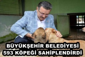 buyuksehir_belediyesi_593_kopegi_sahiplendirdi_h50586_f9ba2