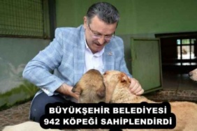 buyuksehir_belediyesi_942_kopegi_sahiplendirdi_h52421_0b315