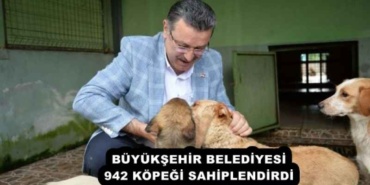 buyuksehir_belediyesi_942_kopegi_sahiplendirdi_h52421_0b315