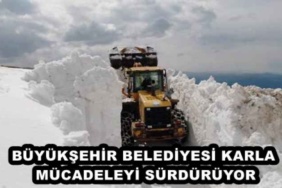 buyuksehir_belediyesi_karla_mucadeleyi_surduruyor_h47403_880d1