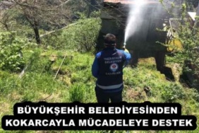 buyuksehir_belediyesinden_kokarcayla_mucadeleye_destek_h57950_9342f