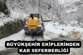 buyuksehir_ekiplerinden_kar_seferberligi_h57223_ed8f7