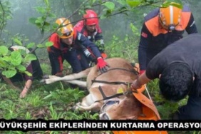 buyuksehir_ekiplerinden_kurtarma_operasyonu_h47691_0ef62
