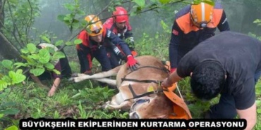 buyuksehir_ekiplerinden_kurtarma_operasyonu_h47691_0ef62