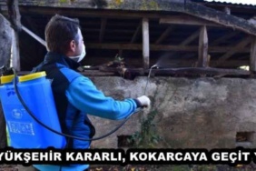buyuksehir_kararli_kokarcaya_gecit_yok_h49728_449b1