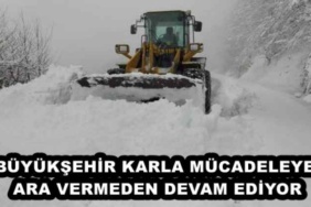 buyuksehir_karla_mucadeleye_ara_vermeden_devam_ediyor_h45398_afa73