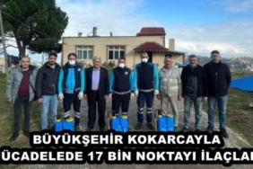buyuksehir_kokarcayla_mucadelede_17_bin_noktayi_ilacladi_h50407_3e3ed