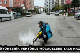 buyuksehir_vektorle_mucadelede_yaza_hazir_h52835_afdf7
