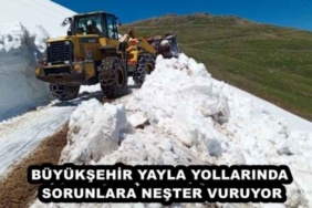 buyuksehir_yayla_yollarinda_sorunlara_nester_vuruyor_h47966_74e67