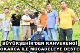 buyuksehirden_kahverengi_kokarca_ile_mucadeleye_destek_h49074_ce25a
