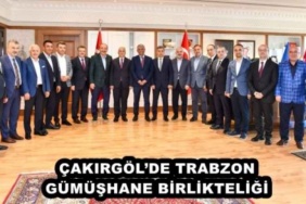 cakirgolde_trabzon_gumushane_birlikteligi_h47945_39357