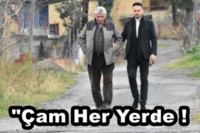 cam_her_yerde_h45380_fc224