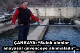 cankaya_sulak_alanlar_anayasal_guvenceye_alinmaladir_h45681_285b8