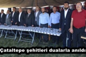 cataltepe_sehitleri_dualarla_anildi_h54058_1b5ea
