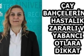 cay_bahcelerinde_hastalik_zararli_ve_yabanci_otlara_dikkat_h58934_09e63