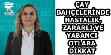 cay_bahcelerinde_hastalik_zararli_ve_yabanci_otlara_dikkat_h58934_09e63