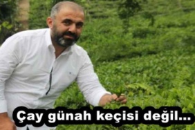 cay_gunah_kecisi_degil_h55557_e7e73