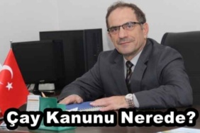 cay_kanunu_nerede_h45656_d4974