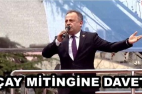 cay_mitingine_davet_h47656_a08df