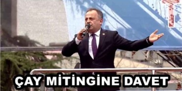 cay_mitingine_davet_h47656_a08df