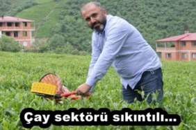 cay_sektoru_sikintili_h55014_bc7f1