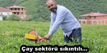 cay_sektoru_sikintili_h55014_bc7f1