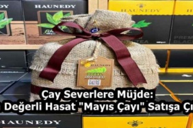 cay_severlere_mujde_en_degerli_hasat_mayis_cayi_satisa_cikti_h58749_bba24