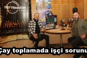 cay_toplamada_isci_sorunu_h45986_68b0d
