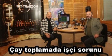 cay_toplamada_isci_sorunu_h45986_68b0d