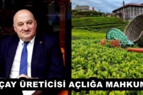 cay_ureticisi_acliga_mahkum_h52992_a5854