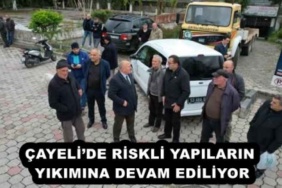 cayelide_riskli_yapilarin_yikimina_devam_ediliyor_h52546_58a68