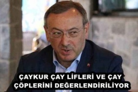 caykur_cay_lifleri_ve_cay_coplerini_degerlendiriliyor_h49976_962b0